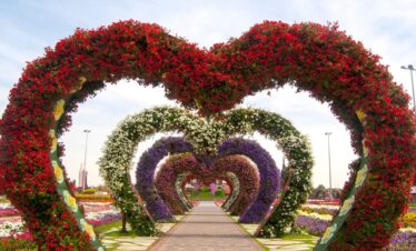 Dubai Miracle Garden